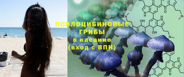 кокс Михайлов