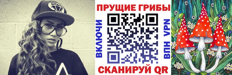 Купить где  Ефремов  Галлюциногенные грибы мухоморы 